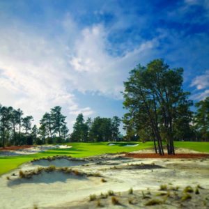 Pinehurst No 9